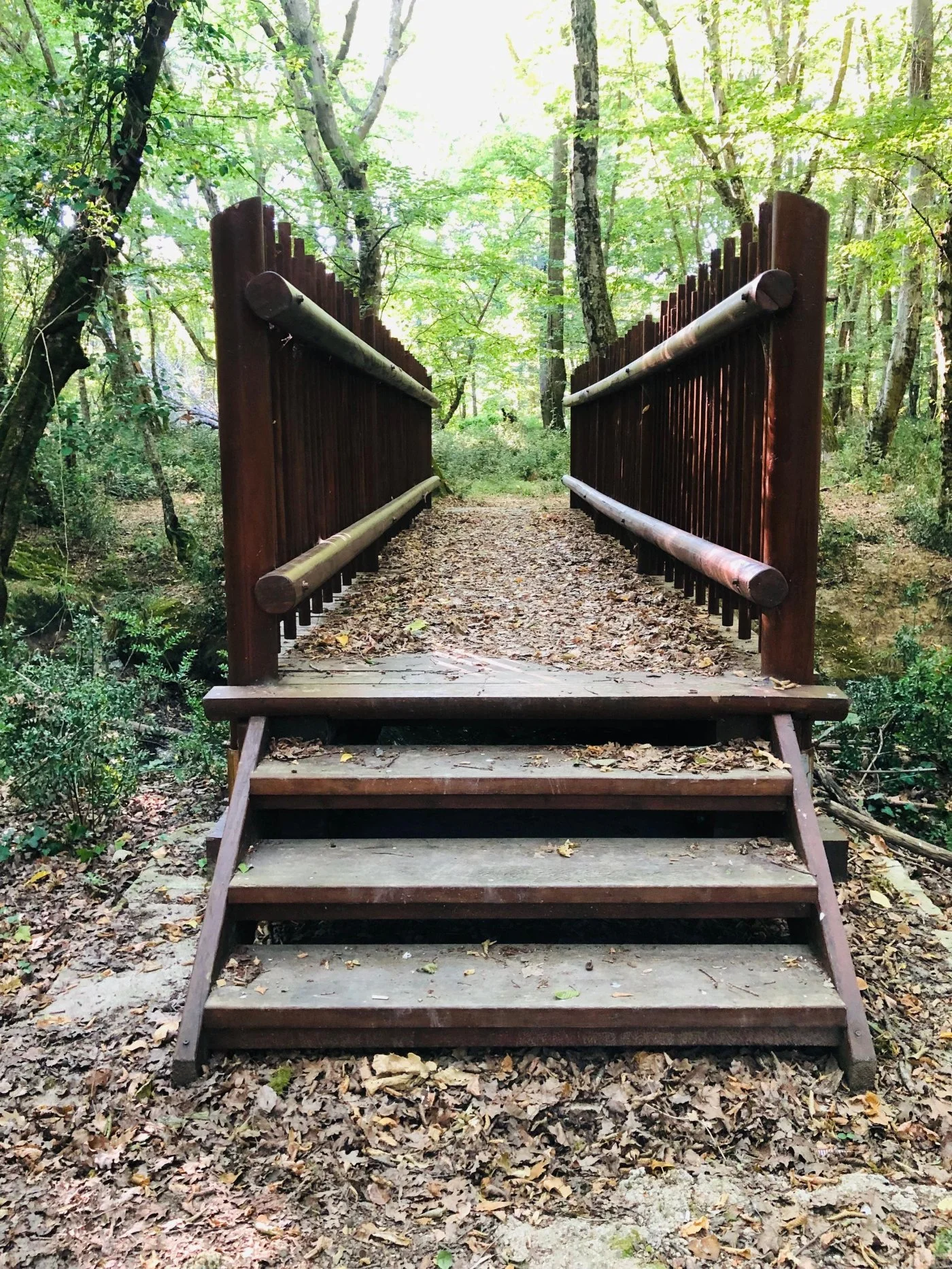 İğneada Longoz Ormanları