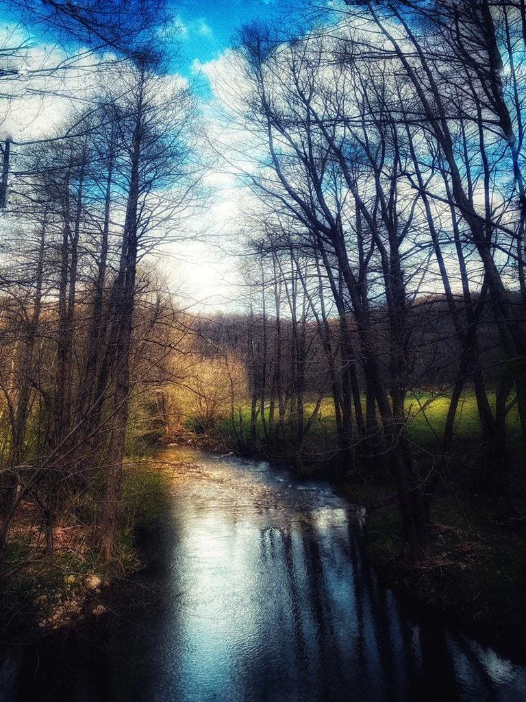 İğneada Ormanları